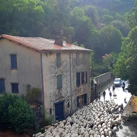 Hotel Cevenole *